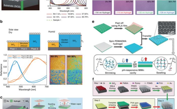 Revolutionizing Photonics With Responsive Hydrogels