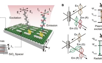 Anisotropic Plasmon Engineering Unlocks Multilevel Polarised Upconversion