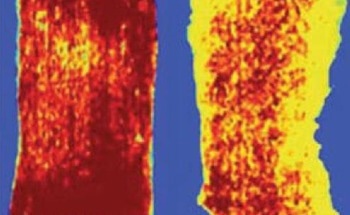 Hyperspectral Imaging In Food Inspection Requires the Processing Speed of CoaXPress Frame Grabbers