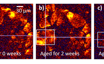 Laser Technique Spots Early Signs of Fading in Artworks
