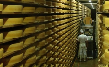 Advanced Spectroscopic Techniques for Cheese Quality Monitoring