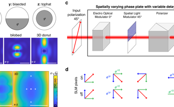 User-Friendly MINFLUX Makes Super-Resolution More Accessible