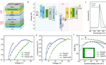 Effective and Robust Perovskite-Organic Light-Emitting Diodes