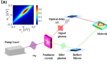 Harnessing Quantum Entanglement to Enhance Raman Spectroscopy