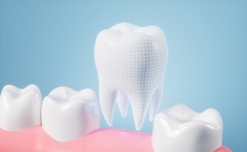 Investigating Cell Adhesion to Orthodontic Mini-Implants Using SEM