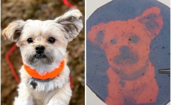 Erasable 3D Images Could Revolutionize Medicine