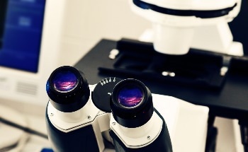 New Microscope Offers Faster, High-Resolution Brain Imaging