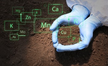 Enhancing Cu Estimation in Urban Soil Using Vis-NIR Spectroscopy