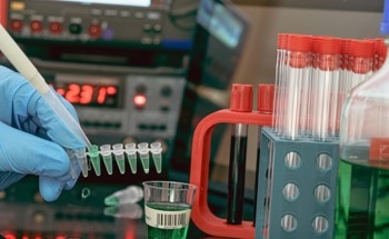 Vaccine Authenticity Verification Using MALDI-MS and Machine Learning