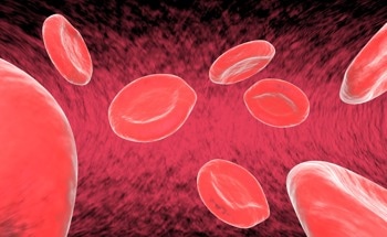 Heme Uptake and Its Role in Vascular Health: Insights from Raman Imaging