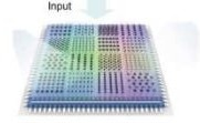 Inverse Design Cracks the Code for Computational Spectrometers