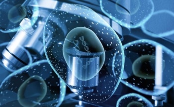POLCAM: Simplified Single-Molecule Microscopy for Molecular Imaging