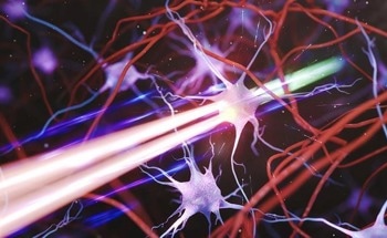 The Future of Neuroscience: Single-Cell Resolution Imaging
