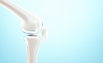 The Future of Cartilage Research: PCI Offers New Insights
