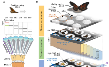 Bio-Inspired Camera Captures Ultra-High-Speed Images