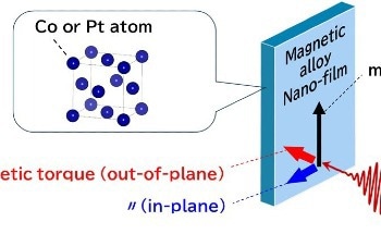 Highly Efficient Opto-Magnetic Control of Magnetization in Nanofilms