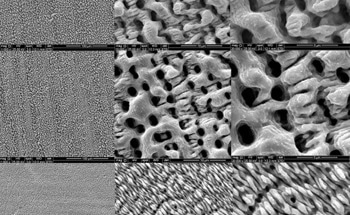 Preventing Bacterial Growth on Meat Processing Surfaces with Laser Technology