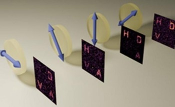 Entangling Polarization and Holographic Information with Metasurfaces