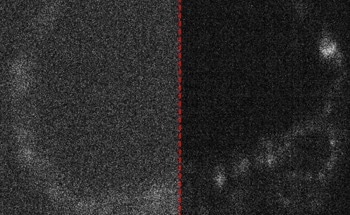 New Camera Technology Revolutionizes Biological Imaging of Live Cells