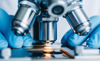 Revolutionizing Regenerative Medicine with 3D Cell Culture Insights
