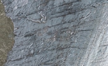 Fiber Optic Cables for Monitoring Glacier Crevasse Formation