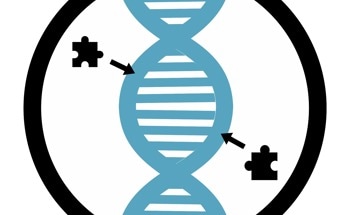 High-Power THz Radiation: A Breakthrough in Cancer Research