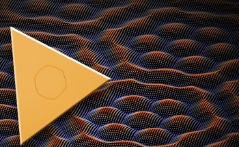 Twisted Light Fields Form Skyrmion Bags on Gold Surface