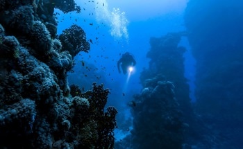 3D-Printed Photonic Skin for Underwater Communication