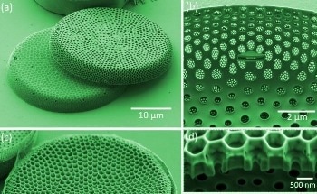 Study Uncovers Technologically Appealing Trick Used by Microalgae to Manipulate Light