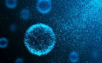 RSM: A Breakthrough in Super-Resolution Imaging Technology