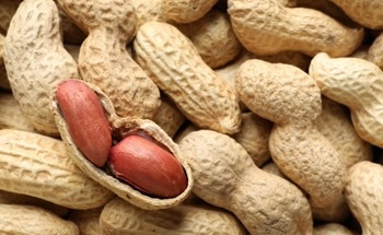 Scientists Create Eco-Friendly Laser Entirely from Biomaterials