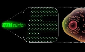 Pixels 100x Smaller than Cells Open Door to Ultra High-Res Display
