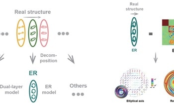 New Model Deepens the Understanding of How Materials Alter Light Polarization