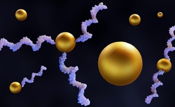 Enhanced Nonlinear Optics in Gold Nanoparticle-Embedded Borotellurite Glasses