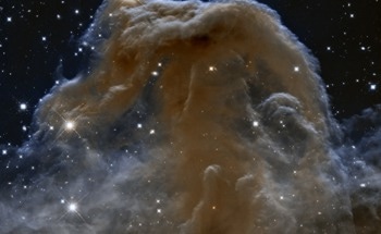 Spectroscopic Insights into Gaia-Alerted Young Stellar Object Variability