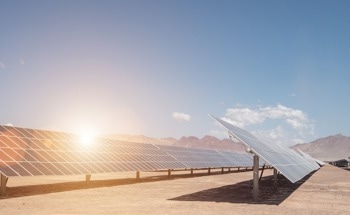 Light Management in All-Perovskite Tandem Solar Cells