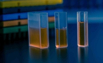Raman Spectroscopy Identifies Novel Cyanobacterial Pigment