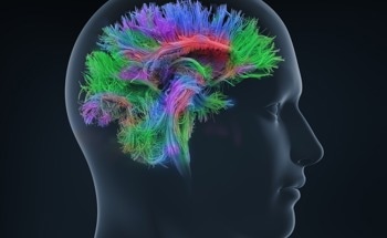 Open Mouse Brain Dataset Advances AI-Based Neuron Reconstruction