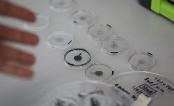New Graphene-Powered Soft Lens Could Pave the Way for Smarter Glasses, Cameras and Medical Devices