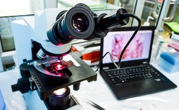 Teledyne Expands Falcon4-CLHS Family With New 67 MP Model for Life Sciences Imaging
