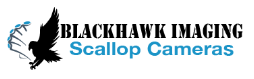 Scallop Imaging