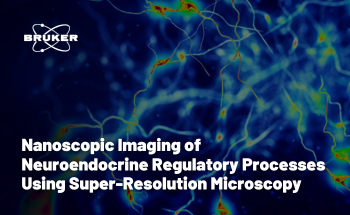 Nanoscopic Imaging of Neuroendocrine Regulatory Processes with Super-Resolution Techniques